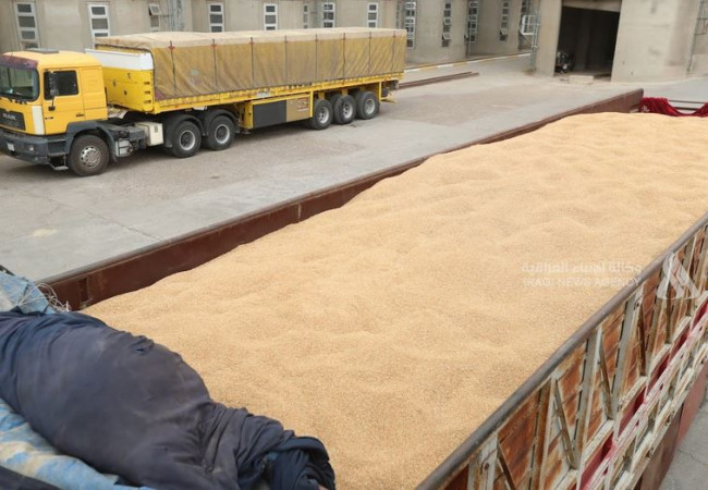 التجارة تعلن تسويق نحو 5 ملايين و200 ألف طن من الحنطة