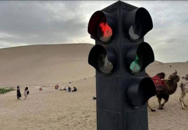 إشارات مرور للجمال في الصين وسط الصحراء