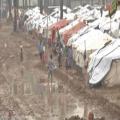 وزارة النقل تنقل 2500 نازح من مخيم الدورة الى أماكن إيواء جديدة