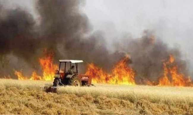 الزراعة النيابية: حرق الحقول مؤامرة على العراق لتدمير إقتصاده