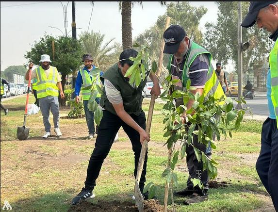 أمانة بغداد: حملة التشجير ستتضمن زراعة أكثر من 100 ألف شجرة