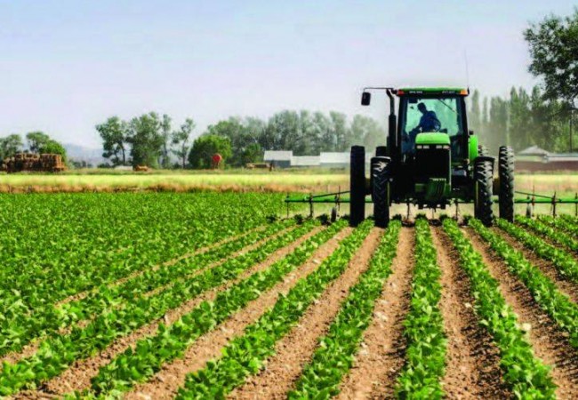 الزراعة النيابية تشدد على حماية المنتج المحلي