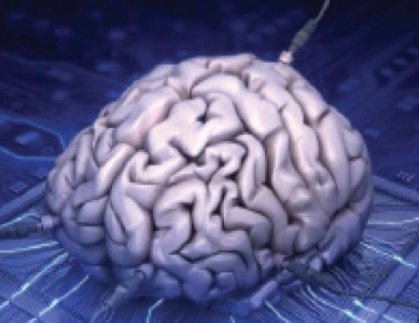 علماء ينتجون «دماغاً بشرياً» شبه مكتمل
