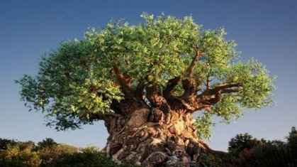“شجرة الحياة” تضم نحو 2.3 مليون كائن حي