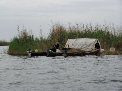 ذي قار تدعو لتطوير السياحية البيئية وحماية الاهوار