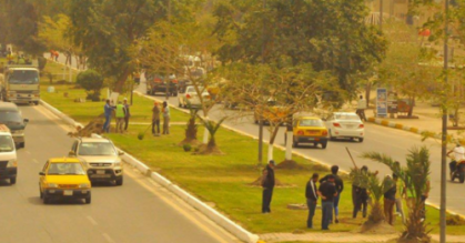 حملة ربيعية لزراعة الجزرات الوسطية في بغداد