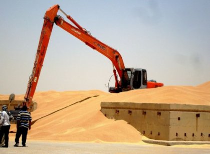 لجنة التسويق الزراعي تحدد منتصف نيسان الجاري موعدا لتسويق الحنطة