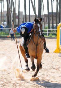 الجميلي يشيد بانجاز فرسان العراق ببطولة العالم لالتقاط الاوتاد بمصر