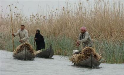 اطلاق حملة توعية للتعريف باهمية الاهوار العراقية