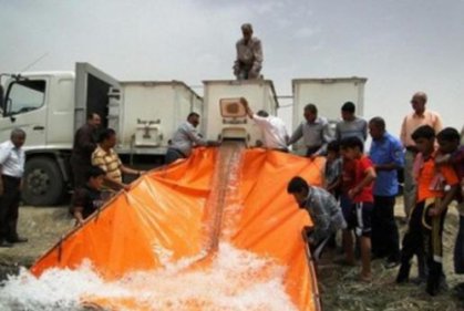 إطلاق أكثر من مليوني أصبعية من أسماك الكارب في أهوار الجبايش