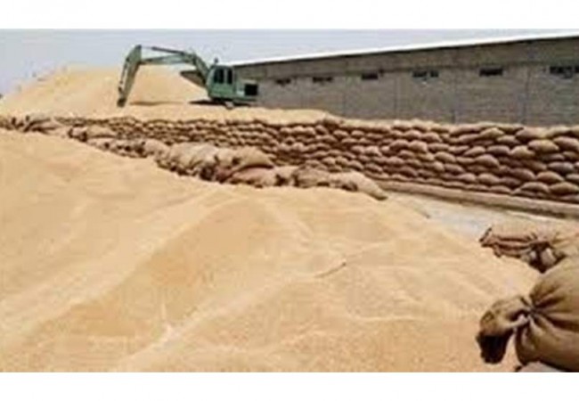 التجارة تعلن حصيلة جديدة عن كميات الحنطة المسوقة