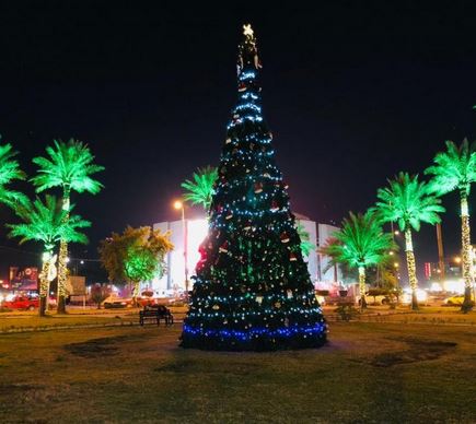 امين بغداد يوعز بنصب اشجار الميلاد احتفاءً باعياد الميلاد