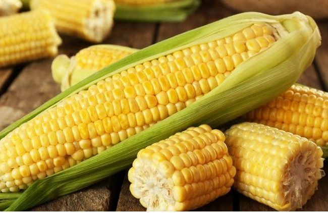 المجلس الوزاري للاقتصاد يوافق على تخفيض سعر بيع محصول الذرة الصفراء