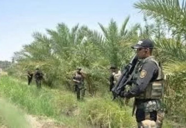 انطلاق عملية امنية في بساتين الوقف شمال شرق ديالى