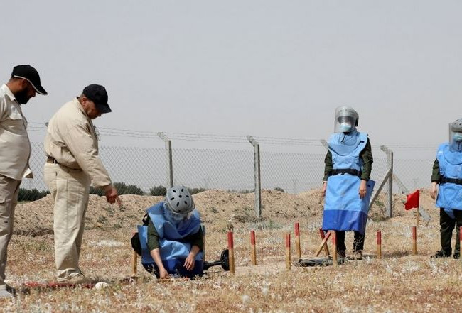 البيئة تعلن إطلاق حملة لإزالة الألغام بمساحات محدودة في عدة محافظات
