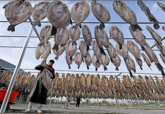 الصيادون مشغولون بتخليل الأسماك وتجفيفها من الشمس في منطقة يوهانغ بشرق الصين…