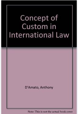 The Concept of Custom in International Law