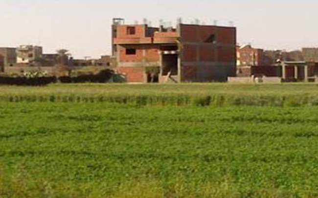 محافظ بغداد : قرارات في تحويل جنس الأراضي من زراعي الى سكني