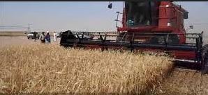 نائب محافظ ذي قار يعلن استلام ( 34 ) مليار دينار من مستحقات المزارعين لمحصولي الحنطة والشعير