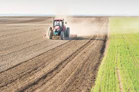 الزراعة النيابية تعلن موقفها من قرار الوزارة في تصدير فائض منتجاتها