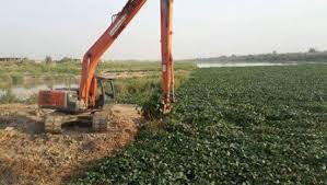 “كيلات” في واسط للقضاء على زهرة النيل