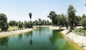 حملة لتنظيف البحيرات والقنوات المائية في متنزه الزوراء