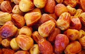 تصدير كميات كبيرة من التمور العراقية الى الاسواق العالمية