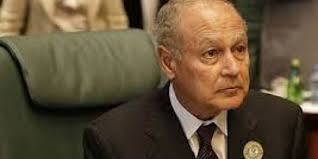 أبو الغيط يؤكد تضامن الجامعة العربية مع العراق في مواجهة الارهاب