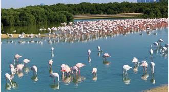 البيئة تعلن إجراءات مشددة لحماية التنوع الأحيائي وتنظيم عمليات الصيد