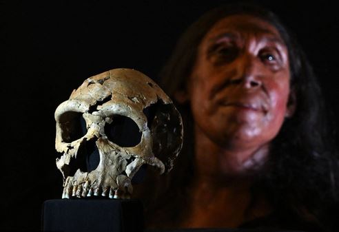 ترميم رأس امرأة عمرها 75 ألف عام